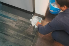 WhatsApp-Image-2025-11-13-at-3.26.24-PM-3