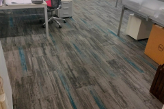 WhatsApp-Image-2025-11-13-at-3.26.24-PM