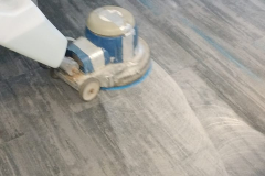 WhatsApp-Image-2025-11-13-at-3.26.30-PM-1