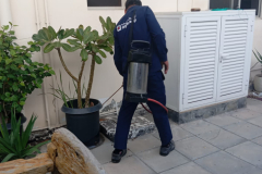 WhatsApp-Image-2026-04-03-at-7.23.47-PM