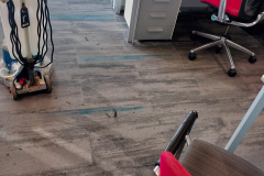 WhatsApp-Image-2025-11-13-at-3.28.15-PM