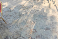 WhatsApp-Image-2025-11-13-at-3.30.27-PM-1