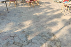 WhatsApp-Image-2025-11-13-at-3.30.28-PM-1