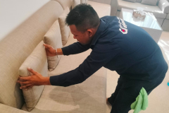 WhatsApp-Image-2025-11-13-at-3.30.31-PM-1