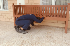 WhatsApp-Image-2026-04-03-at-7.22.16-PM-1