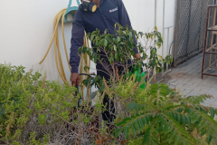 WhatsApp-Image-2026-04-03-at-7.23.45-PM