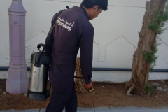 WhatsApp-Image-2026-04-03-at-7.23.48-PM