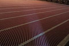 WhatsApp-Image-2026-04-03-at-7.23.56-PM