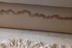 WhatsApp-Image-2026-04-03-at-7.24.35-PM